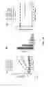 Fig. 44 - TRAIL RECEPTOR-BINDING AGENTS AND USES OF SAME
