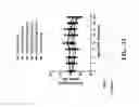 Fig. 47 - TRAIL RECEPTOR-BINDING AGENTS AND USES OF SAME