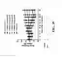 Fig. 49 - TRAIL RECEPTOR-BINDING AGENTS AND USES OF SAME