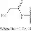 Fig. 123 - Pyrrolobenzodiazepines and conjugates thereof