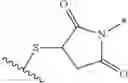 Fig. 35 - Pyrrolobenzodiazepines and conjugates thereof