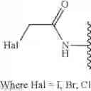 Fig. 60 - Pyrrolobenzodiazepines and conjugates thereof