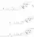 Fig. 735 - GLUCOCORTICOID RECEPTOR AGONIST AND IMMUNOCONJUGATES THEREOF