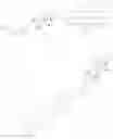 Fig. 751 - GLUCOCORTICOID RECEPTOR AGONIST AND IMMUNOCONJUGATES THEREOF