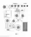 Fig. 02 - Methods and compositions for theranostic nanoparticles