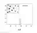 Fig. 08 - Methods and compositions for theranostic nanoparticles