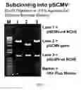 Fig. 09 - Treatment for exposure to nerve agent