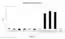 Fig. 12 - COMPLEXES OF RNA AND CATIONIC PEPTIDES FOR TRANSFECTION AND FOR IMMUNOSTIMULATION