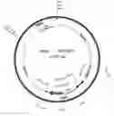 Fig. 01 - Nucleic acid molecules containing spacers outside ITR