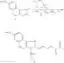 Fig. 06 - Fluorescent conjugates
