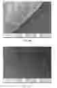 Fig. 06 - DECELLULARIZED BIOMATERIAL FROM MAMMALIAN TISSUE