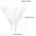 Fig. 01 - Preparing method of nerve conduits including cells