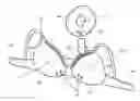 Fig. 01 - Automated Compression Nursing And Pumping System