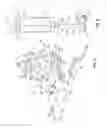 Fig. 04 - Infusion and blood collection devices and methods