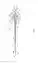 Fig. 03 - Hemostasis valve design for introducer sheath