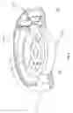 Fig. 09 - Externally programable magnetic valve assembly and controller