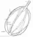 Fig. 01 - Electrodes and electrode positioning systems for transvascular neuromodulation