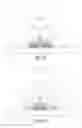 Fig. 08 - Electronic stimulation device, method of treatment and electronic stimulation system