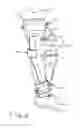Fig. 07 - KNEE REHABILITATION EXERCISE DEVICE