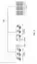 Fig. 16 - Functionalized surfaces and preparation thereof