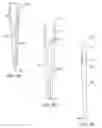 Fig. 06 - Pipette tip with integrated light guides in the body and method of spectroscopic analysis using same
