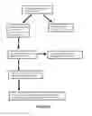 Fig. 07 - STRIPS FOR QUANTITATIVE TRANSFER OF BIOCHEMICAL SAMPLES
