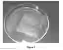 Fig. 08 - Method and system for hydrophobic coating of microfluidic chips