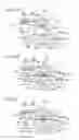 Fig. 08 - Press-forming apparatus and press-forming method