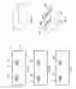 Fig. 06 - Splitting of a solid using conversion of material