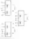 Fig. 07 - Splitting of a solid using conversion of material