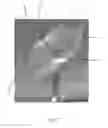 Fig. 02 - Method for producing a dimensionally stable concrete workpiece and dimensionally stable concrete workpiece