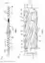 Fig. 02 - Mixing section for plastic extrusion screw