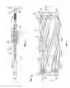 Fig. 04 - Mixing section for plastic extrusion screw