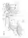 Fig. 09 - Inflatable pouches