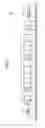 Fig. 02 - Drying device and inkjet printer system including drying device