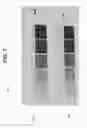 Fig. 08 - LOW BASIS WEIGHT INKJET PRINTABLE SUBSTRATES WITH LOWER SHOWTHROUGH AND IMPROVED WATERFASTNESS AND PRINT DENSITY