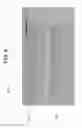 Fig. 09 - LOW BASIS WEIGHT INKJET PRINTABLE SUBSTRATES WITH LOWER SHOWTHROUGH AND IMPROVED WATERFASTNESS AND PRINT DENSITY