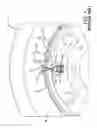 Fig. 02 - Air maintenance tire