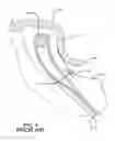 Fig. 06 - Air maintenance tire