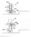 Fig. 01 - Wheeled personal transportation device