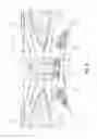 Fig. 07 - Gear drive two-wheel scooter