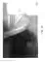 Fig. 18 - Diffuser-type endplate propeller