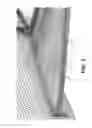 Fig. 06 - Composite vehicle body