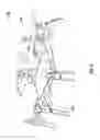 Fig. 08 - Flying and walking drone