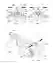 Fig. 03 - Pressurized-fluid flight systems and methods of use thereof