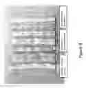 Fig. 09 - APPARATUS, SYSTEM, AND METHOD FOR HIGH SPEED CONTAINER FILLING