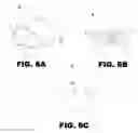 Fig. 07 - Method and apparatus for dispensing a granular product