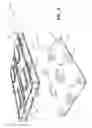 Fig. 08 - PALLET ASSEMBLY