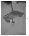 Fig. 22 - DEFLECTOR FOR A BROADCAST SPREADER