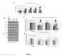 Fig. 02 - Compounds for use as therapeutic agents affecting P53 expression and/or activity